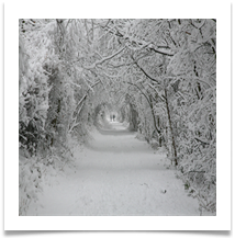 Winter1 - Steve Kinder